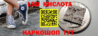 прущие грибы Сланцы