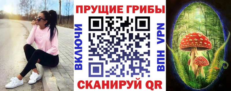 наркотики Ростов-на-Дону mega сайт Галлюциногенные грибы ЛСД