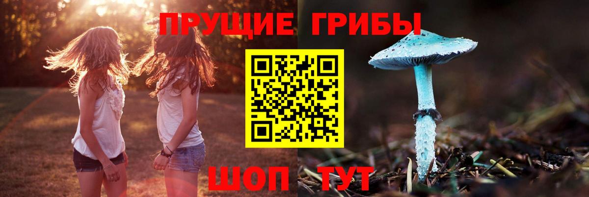 Псилоцибиновые грибы Cubensis Ростов-на-Дону